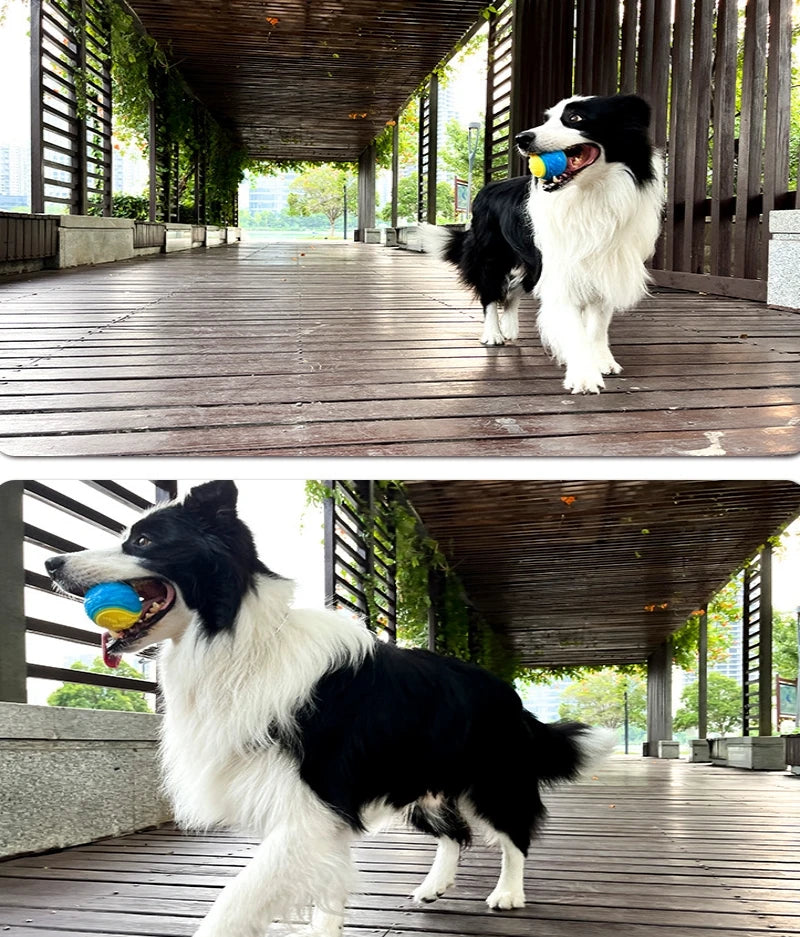Dogs Interactive Toys Soft TPR Toys for Dog Pet Teeth Cleaning Bite Resistance Squeaky Dog Ball Toy